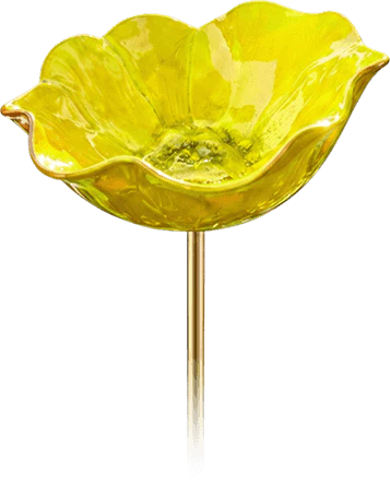 Birdwell™